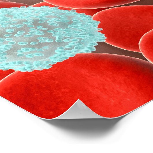 Poster Cellules de sang rouge avec cellules de sang blanc (Coin)