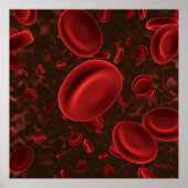 Poster Cellules de sang rouges (Devant)