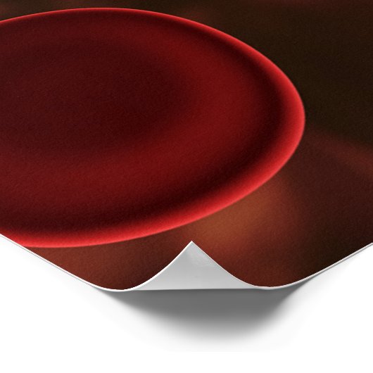 Poster Cellules de sang rouges (Coin)