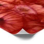 Poster Cellules de Sclerenchyma d'un cerisier (Coin)