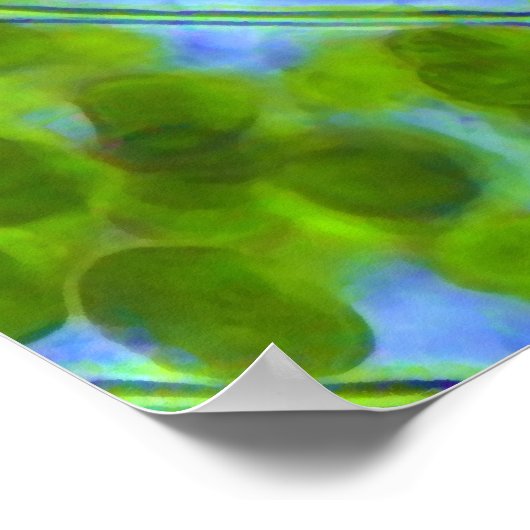 Poster Cellules Plantes Plagiomnium Affine avec Chloropla (Coin)