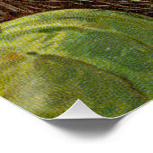 Poster Cendrillon au coin du feu CC1170 Jenny Nyström (Coin)