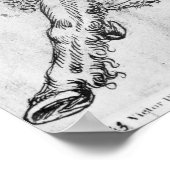 Poster Centaur, de l'album The Vallardi (Coin)