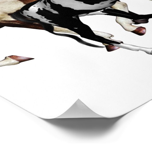 Poster Centaures (Coin)