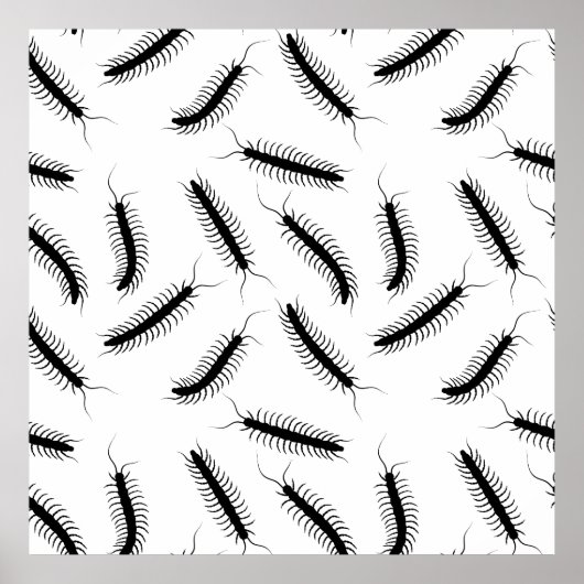Poster Centipedes (Devant)
