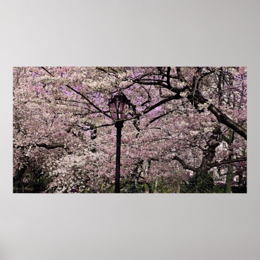 Poster Central Park (Devant)