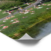 Poster Central Park (Coin)