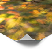 Poster Central Park Automne : Statue Roméo & Juliette 01 (Coin)