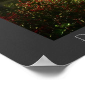 Poster Central Park - Bow Bridge - New York City (Coin)