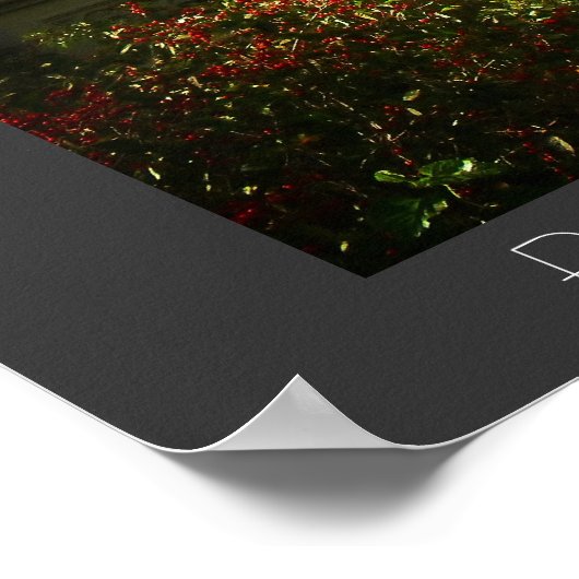 Poster Central Park - Bow Bridge - New York City (Coin)