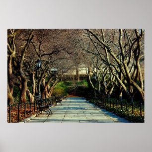 Poster Central Park Conservatory Paysage photo
