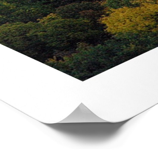 Poster Central Park Fall (Coin)