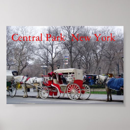 Poster Central Park / New York (Devant)