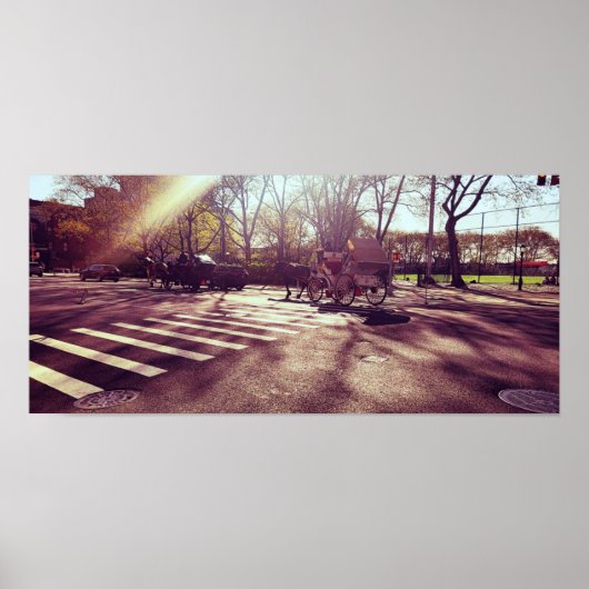 POSTER CENTRAL PARK NEW YORK (Devant)