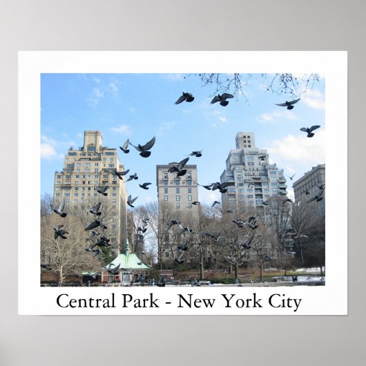Poster Central Park - New York City (Devant)
