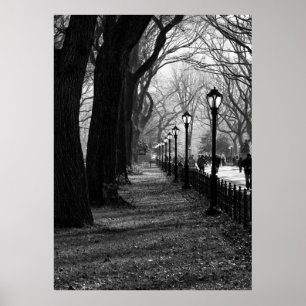 Poster Central Park, New York City