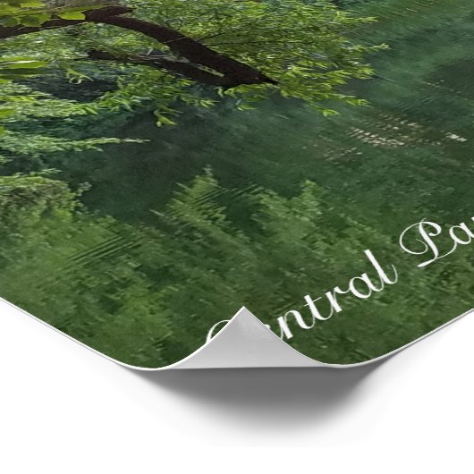 Poster Central Park New York Turtle Pond en été (Coin)