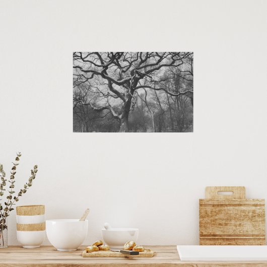 Poster Central Park, NYC (Cuisine)