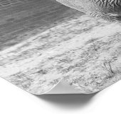 Poster Central Park Zoo Elephant, 1922. Photo vintage (Coin)