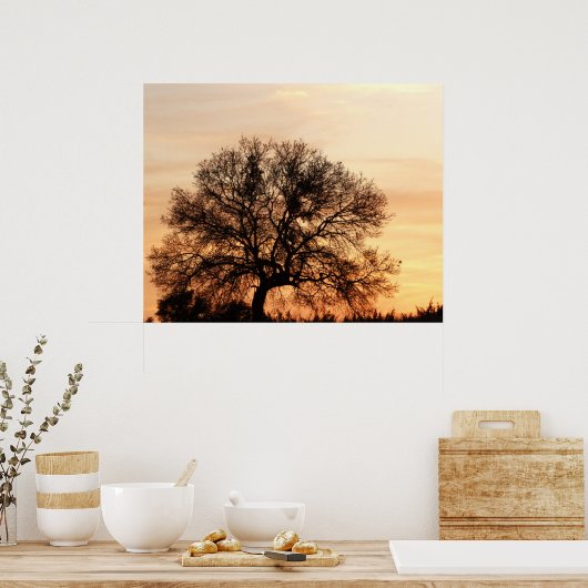 Poster Central Texas Sunset (Cuisine)