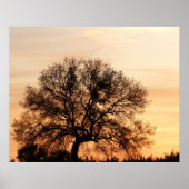 Poster Central Texas Sunset (Devant)