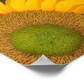 Poster Centre De Tournesol Vers Le Haut Abstrait (Coin)