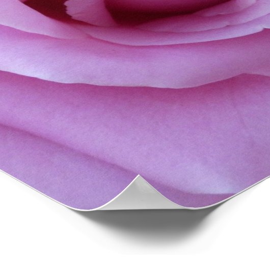 Poster Centre rose (Coin)