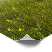 Poster Centre St Bridge et Downtown Calgary (Alberta), 2 (Coin)