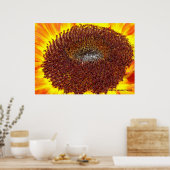 Poster Centre Sunflower (Cuisine)
