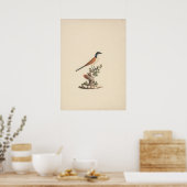 Poster Centropus monachus (Coucou bleu) (Cuisine)