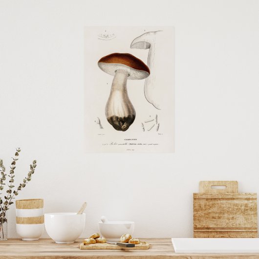 Poster Cèpe de Bordeaux (Boletus edulis) (Cuisine)