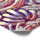Poster Cephalopod Cosmic Octopus in Psychedelic Seas (Coin)