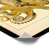 Poster Cephalopod poulpe calmar Nature marine (Coin)