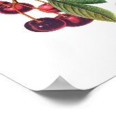 Poster Cerasus vulgaris (Cerise) (Coin)