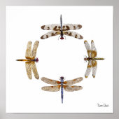 POSTER CERCLE DE DRAGONFLIERS (Devant)