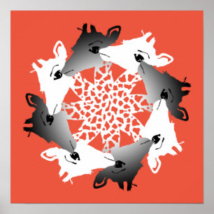 Poster cercle de girafes