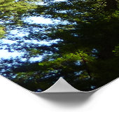 Poster Cercle de séquoias au parc national Redwood (Coin)