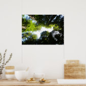 Poster Cercle de séquoias au parc national Redwood (Cuisine)