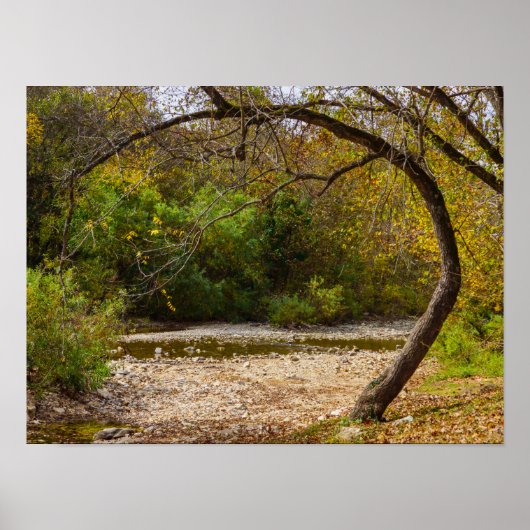 Poster Cercle Natures (Devant)
