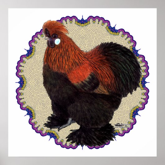 Poster Cercle Silkie (Devant)