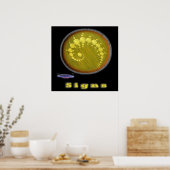 Poster Cercles de coupe (Cuisine)