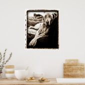 Poster Cerebellum atomique : Chaise de Ballou (Cuisine)