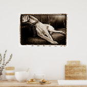 Poster Cerebellum Atomique : Prise En Charge Du Canapé (Cuisine)