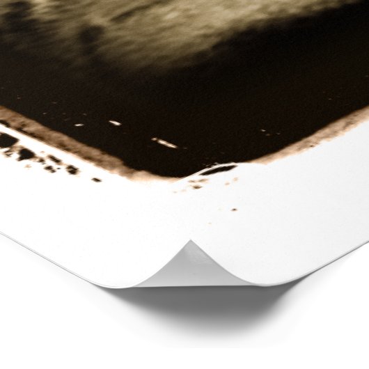 Poster Cerebellum atomique : Stray (Coin)