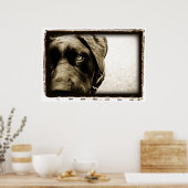 Poster Cerebellum atomique : Stray (Cuisine)