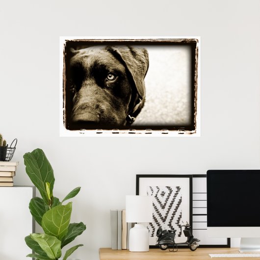 Poster Cerebellum atomique : Stray (Bureau à domicile)