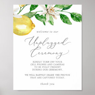 Poster Cérémonie de débranchement du jardin de citron mod