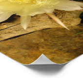 POSTER CÉRÉUS DE BLOG DE NUIT (Coin)