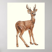 Poster Cerf (Devant)