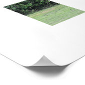 Poster Cerf (Coin)